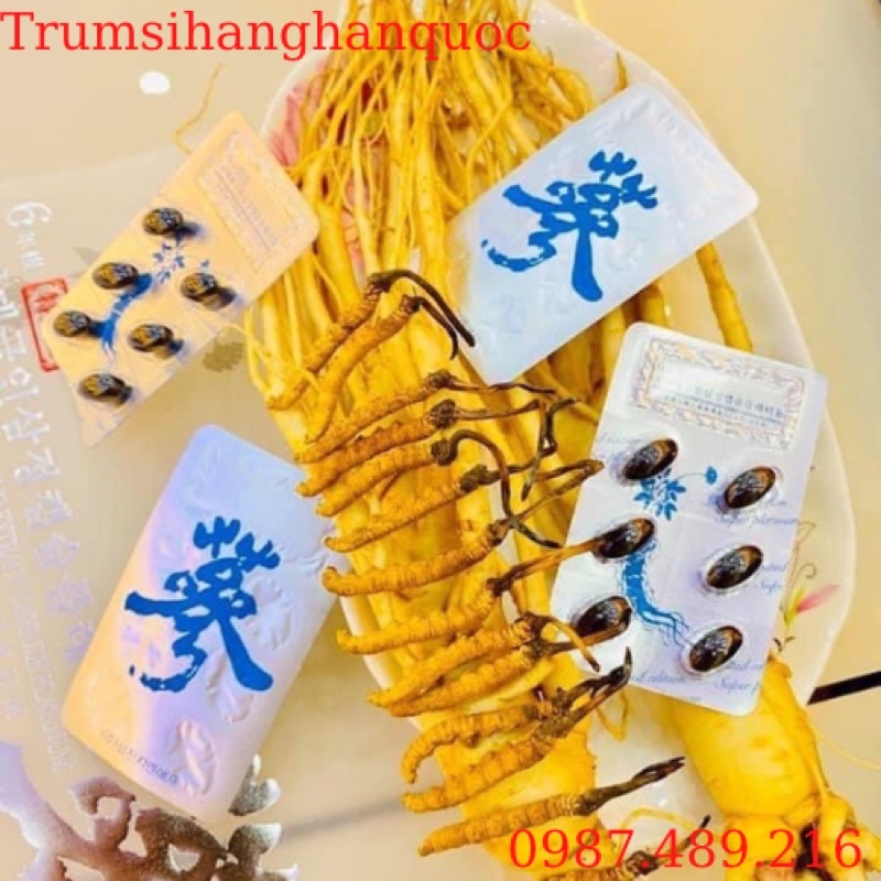 Đông Trùng Hạ Thảo Tây Tạng Nguyên Con Ống 5 con / 1gam