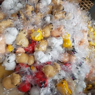 Chó tiết kiệm 5D
