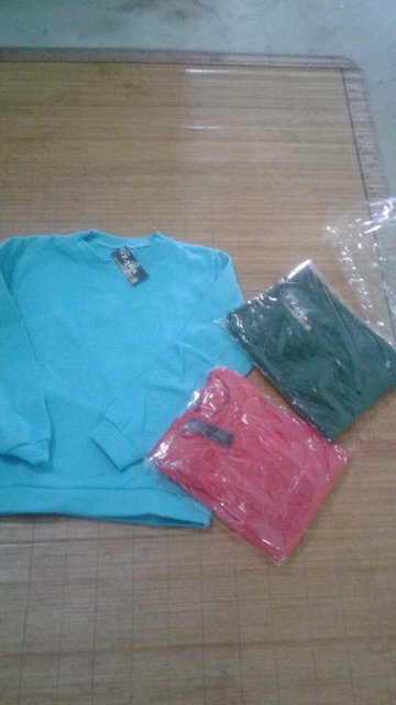 ỐI RẺ QUÁ☘️☘️☘️Áo Nỉ Trơn Hoodie Không Mũ Đây | BigBuy360 - bigbuy360.vn