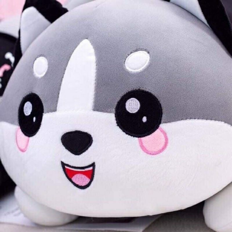 Mèo alaska - Chó Husky khổ 1M2 - 1M6