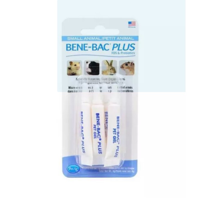 Men Tiêu Hóa Cho Chó Mèo Bene Bac Plus