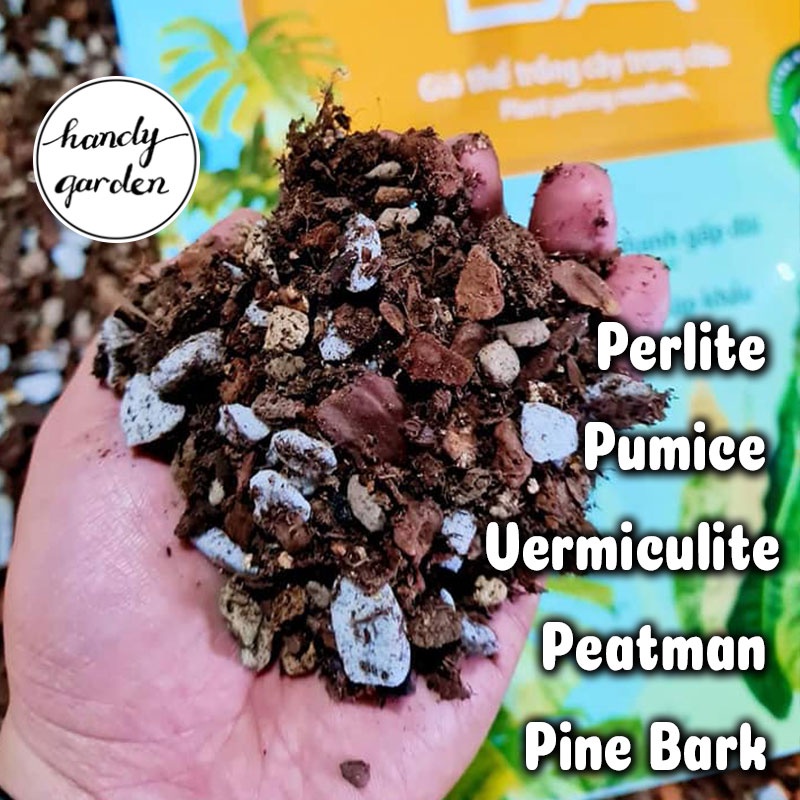 Potting Soil BA - Giá thể trồng chậu trộn sẵn  đất trồng kiểng lá chuyên dụng Monstera | Potting BA