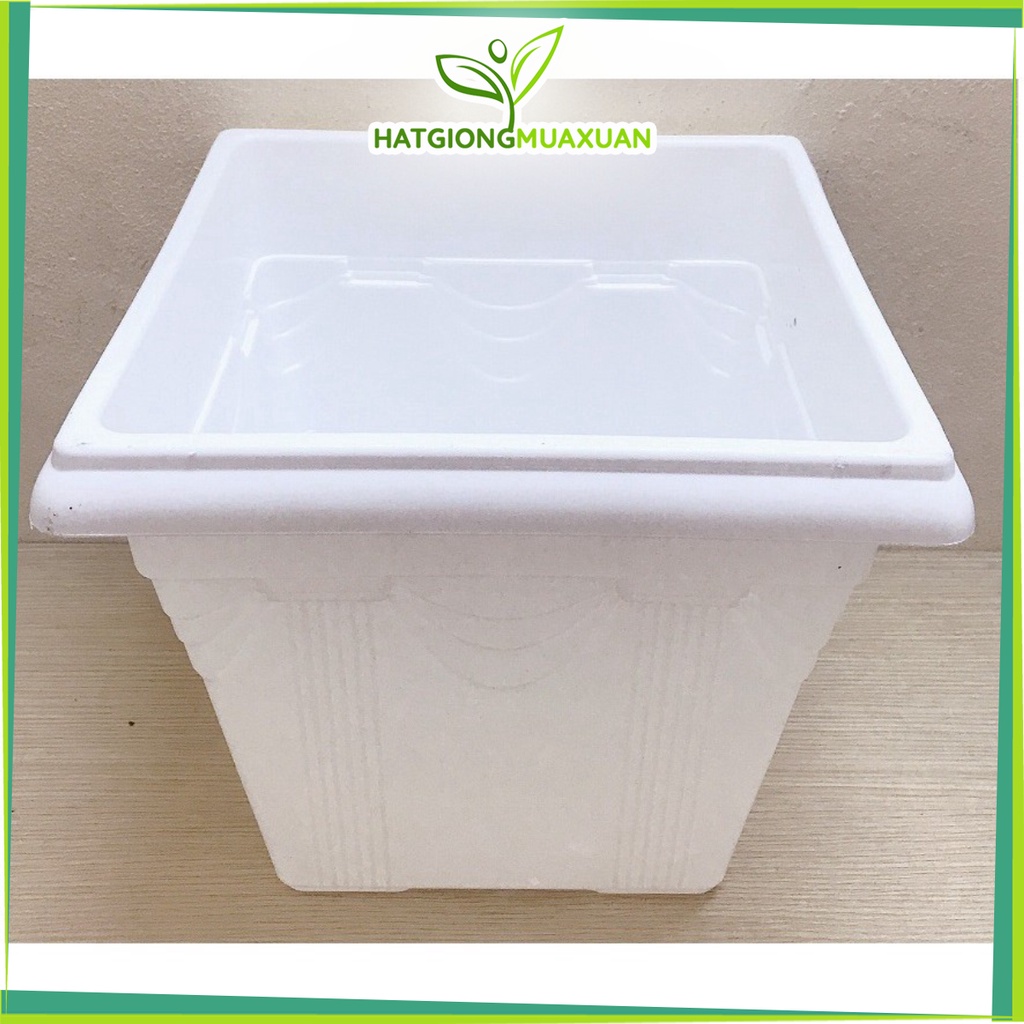 2 Chậu Nhựa Trồng Hoa, Cây Cảnh V30x30x26