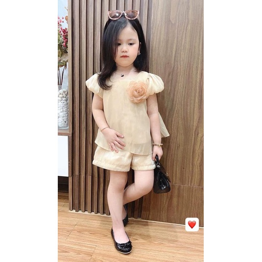 Đồ bộ bé gái bộ đồ cộc ngắn tay voan tơ xinh xắn cho bé tặng kèm hoa cài ngực JIMADO E1.067.110