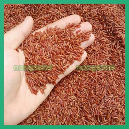 Gạo lứt đỏ huyết rồng𝐁𝐈̣𝐂𝐇 𝟏𝐊𝐆 Gạo lức thơm ngon, dẻo mềm cơm