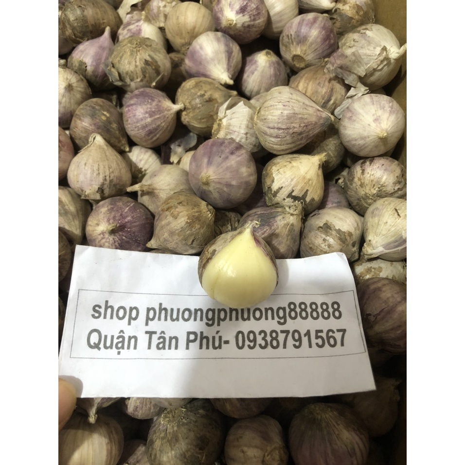 Tỏi Cô Đơn 0.5kg/1kg Loại Củ To Ngon Không Bị Hư