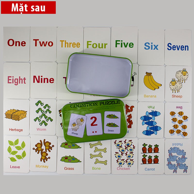 Flash Card tiếng anh nhiều chủ đề Woodentoys