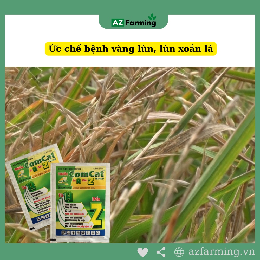 Comcat 150WP - Kích Thích Sinh Trưởng Cây Trồng  - AZ Farming