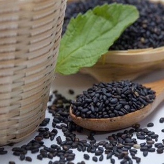 Hạt vừng đen (mè đen) chưa rang - Tiệm Nhà Quê 77
