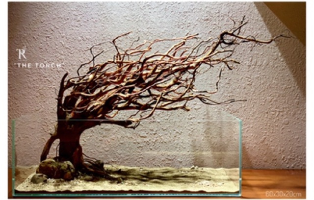 Sạn suối/sỏi suối thiên nhiên Femolay size L