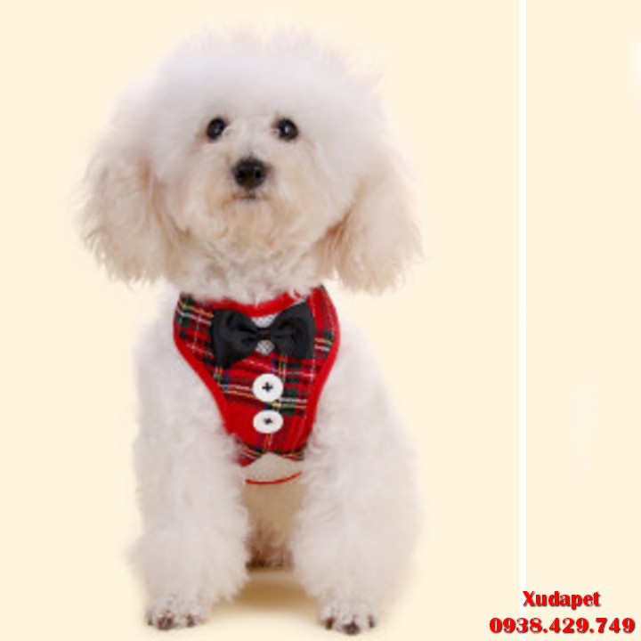 Đai Đeo Ngực Hình Áo Vest Sành Điệu Kèm Dây Dắt Cho Chó Mèo (Màu Ngẫu Nhiên) chất liệu Vải Polyester - Xudapet - SP00522