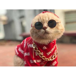 Kính mắt siêu ngầu cho chó mèo