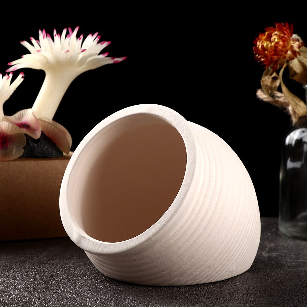 Bể cá cảnh bằng gốm tự nhiên hình dạng đặc biệt sáng tạo trang trí nhà cửa/ văn phòng