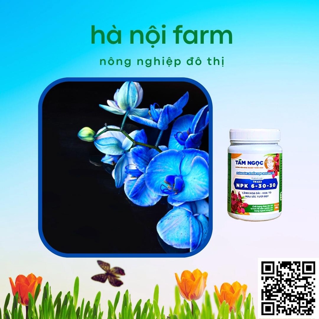 Phân bón lan NPK 6-30-30 Tám ngọc 100g