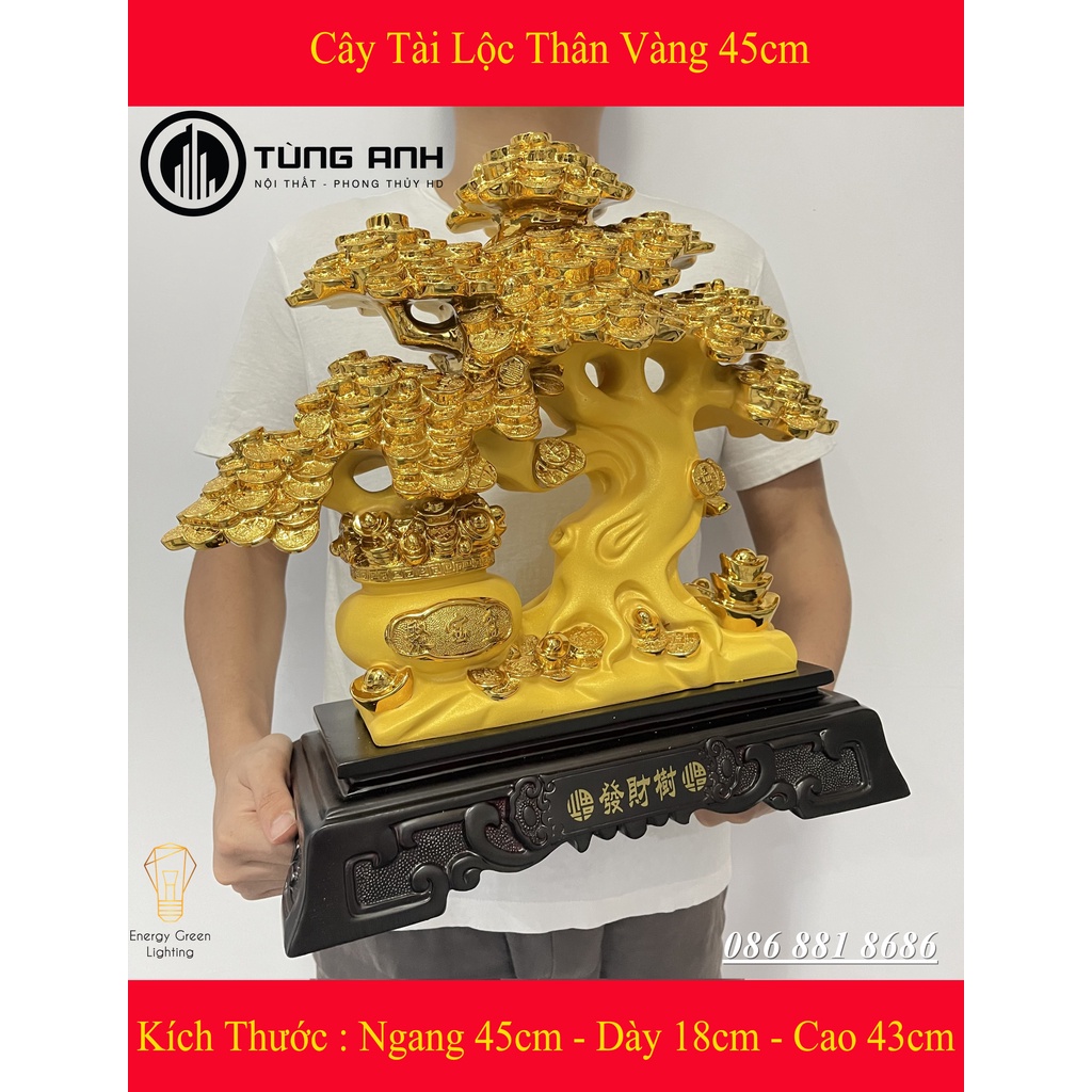 Cây Tài Lộc Thân Vàng Size 45cm - Món Quà Của Sự Sung Túc - Mang Lại Sự May Mắn - Phát Lộc , Phát Tài - Có Video Thực Tế