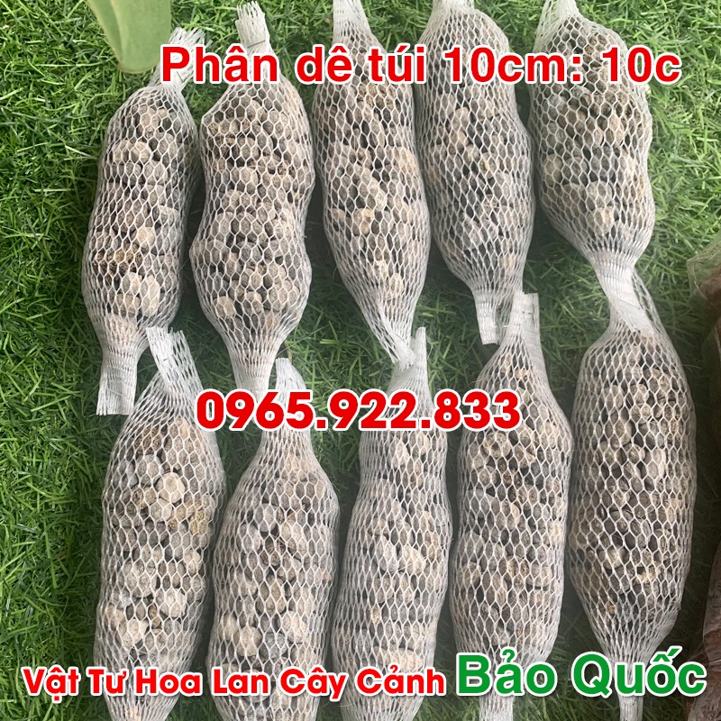 Giá Thể Trồng Lan 5 Chậu Đã Xử Lý