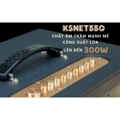 LOA DI ĐỘNG ACNOS KSNET 550