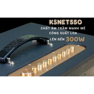 LOA DI ĐỘNG ACNOS KSNET 550