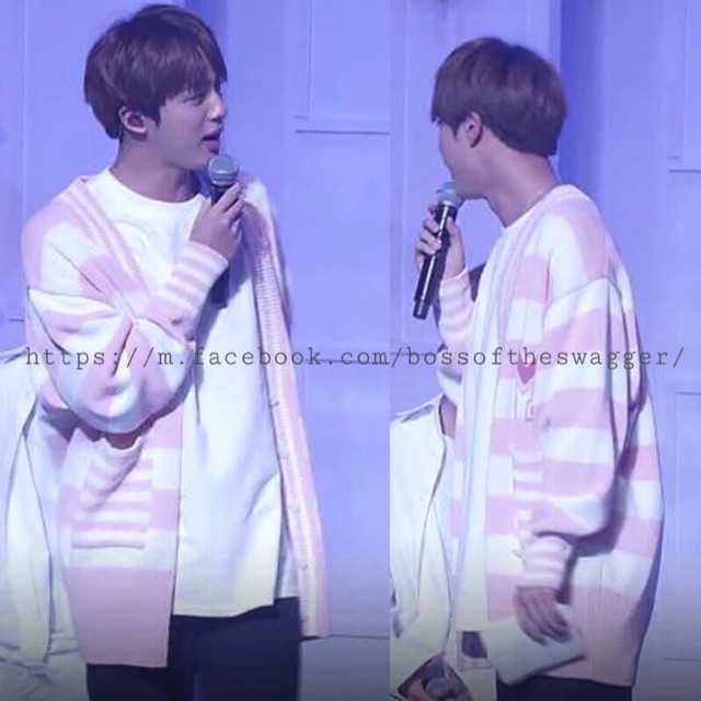 Jin Home Birthday Party & IU M Cardigan