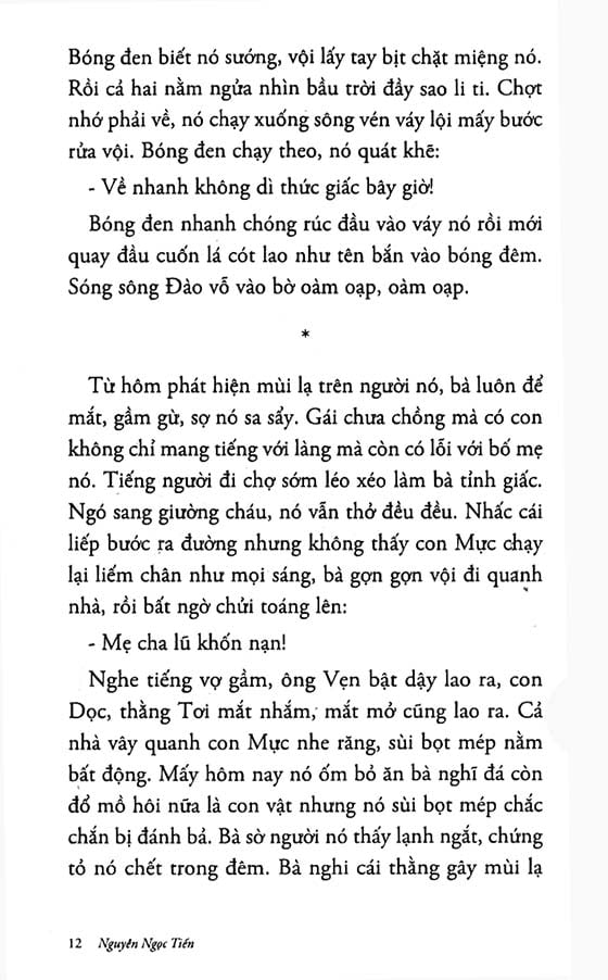 Sách Me Tư Hồng - Tiểu thuyết