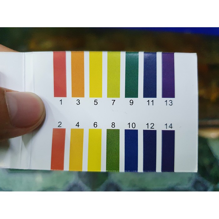 GIẤY THỬ ĐỘ PH 1 ĐẾN 14