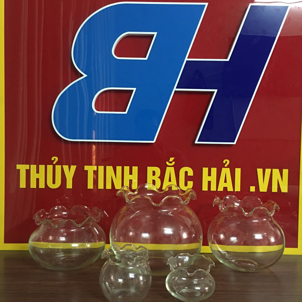 Mẫu Bèo Bầu Thủy Tinh Nuôi Cá - B8