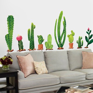 Decal dán tường cây xương rồng
