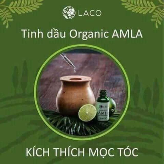 Serum kích thích mọc tóc Amla