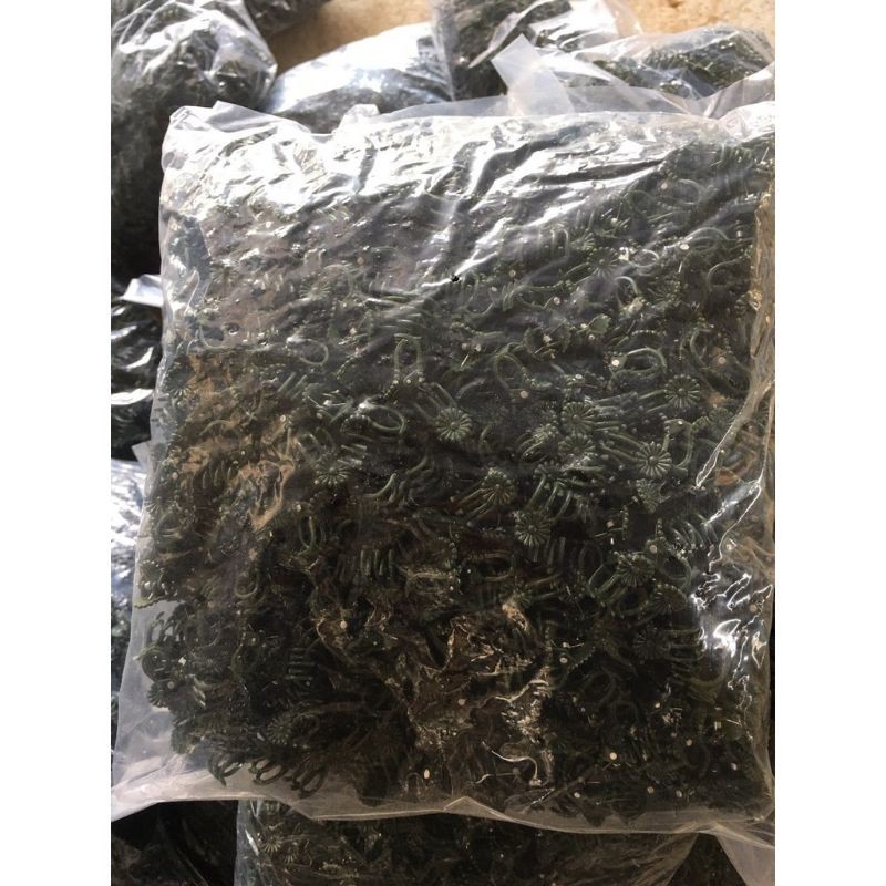 KẸP BƯỚM NHỎ CỐ ĐỊNH HOA LAN GÓI 50 CHIẾC
