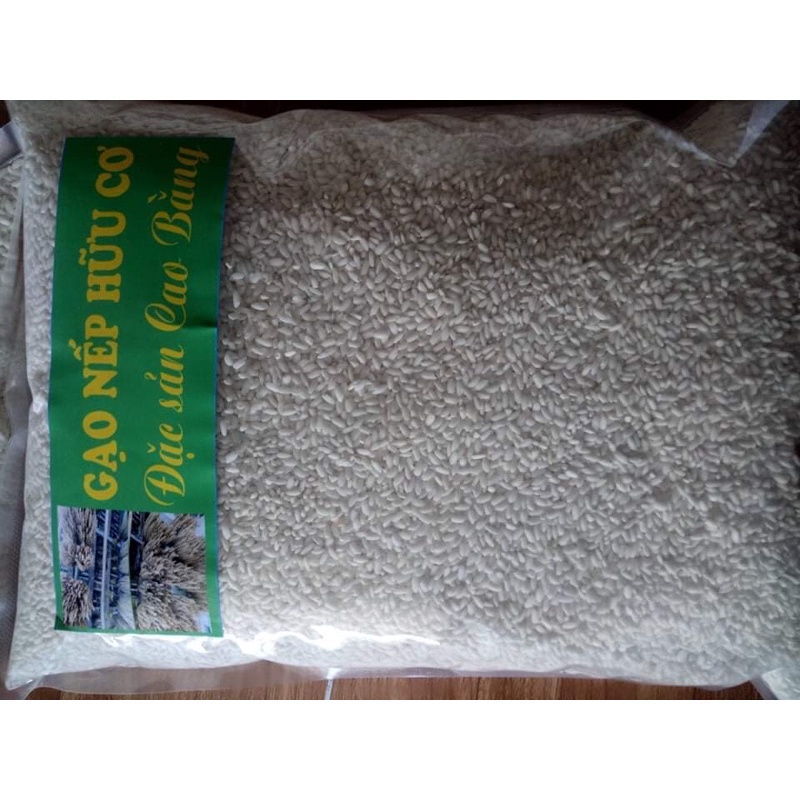 Gạo nếp hữu cơ Vì pất đặc sản Cao bằng cắt từng bông túi 1kg thơm ngon, dẻo