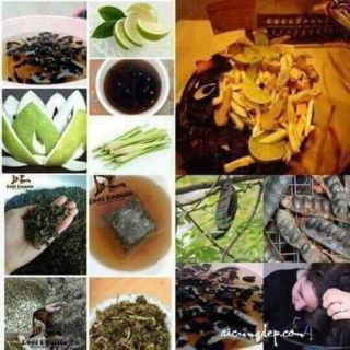 Dầu gội thảo dược