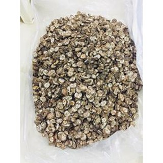 Chuối hột rừng
