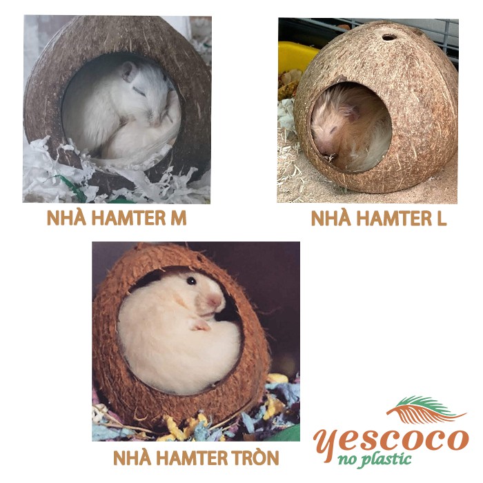Nhà Hang Chuột Hamster gáo dừa tròn 1 cửa || Xưởng gáo dừa Coco_decor