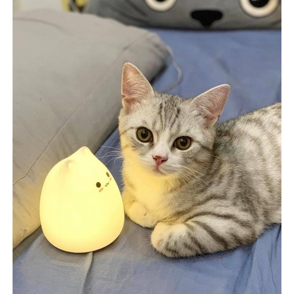 [ MUA 1 ĐƯỢC 2] Đèn Ngủ Silicon Cảm Ứng Mèo Dễ Thương - Đổi Màu Theo Ý Thích - Mềm Mại Dễ Chịu