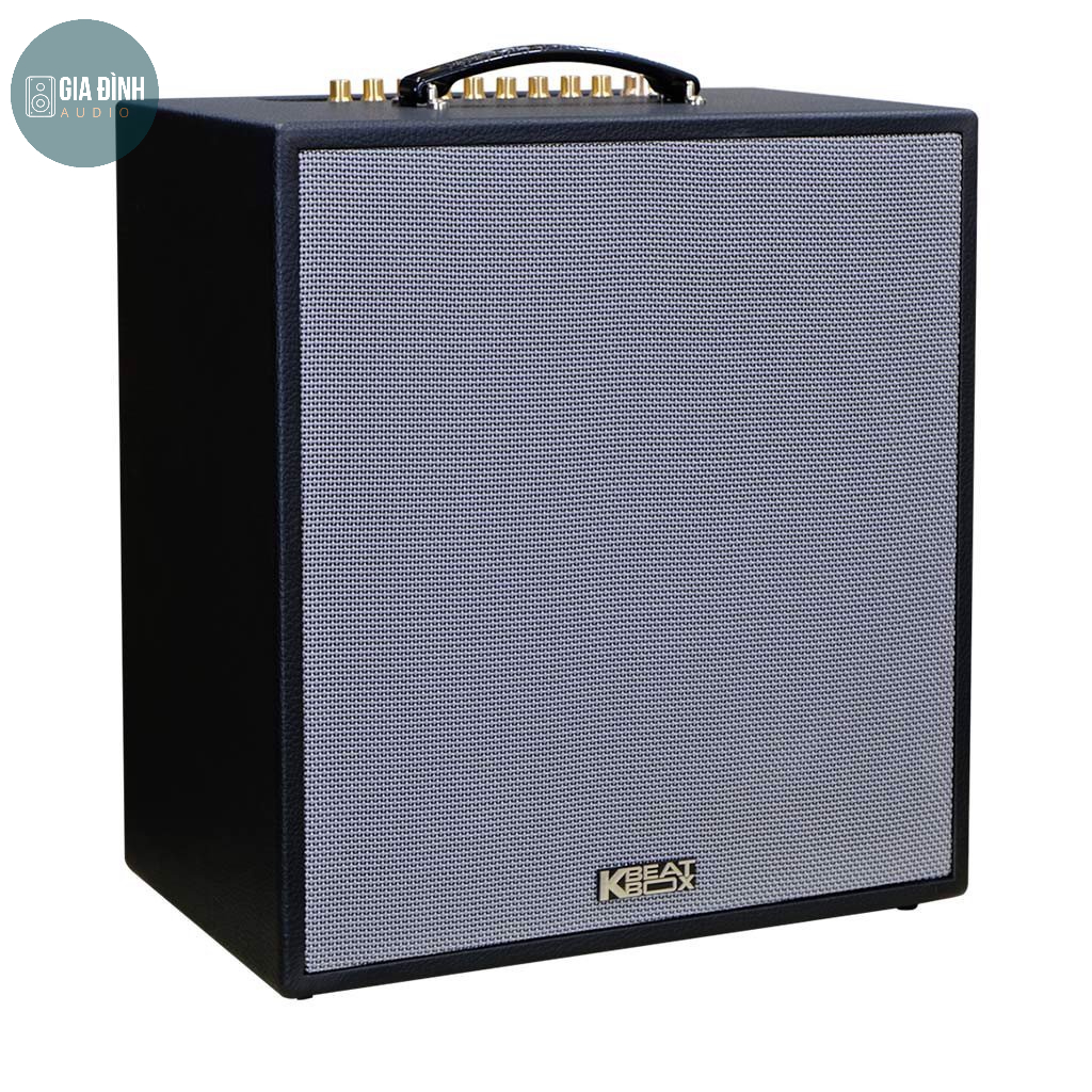 Loa karaoke di động ACNOS CS300 - Chính hãng