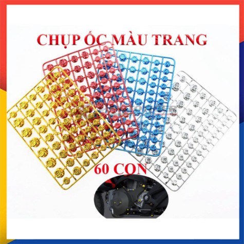 Chụp ốc màu trang trí xe máy -giá 1 vỉ 60 con