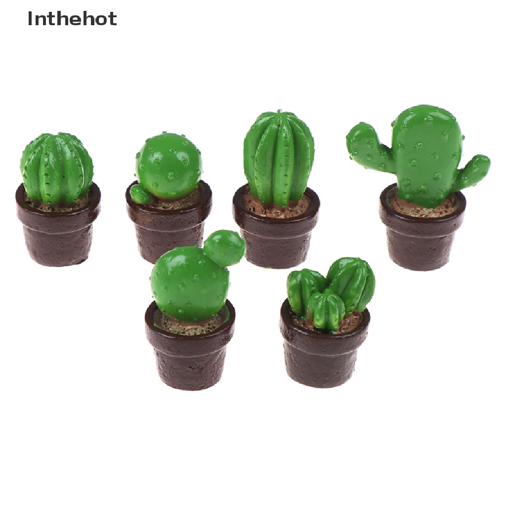 Bộ 5 Cây Xương Rồng mini Bằng Nhựa Trang Trí Nhà Cửa