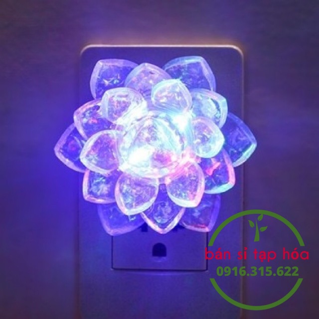 Đèn Ngủ Mini Hình Bông Sen Có Công Tắc | BigBuy360 - bigbuy360.vn