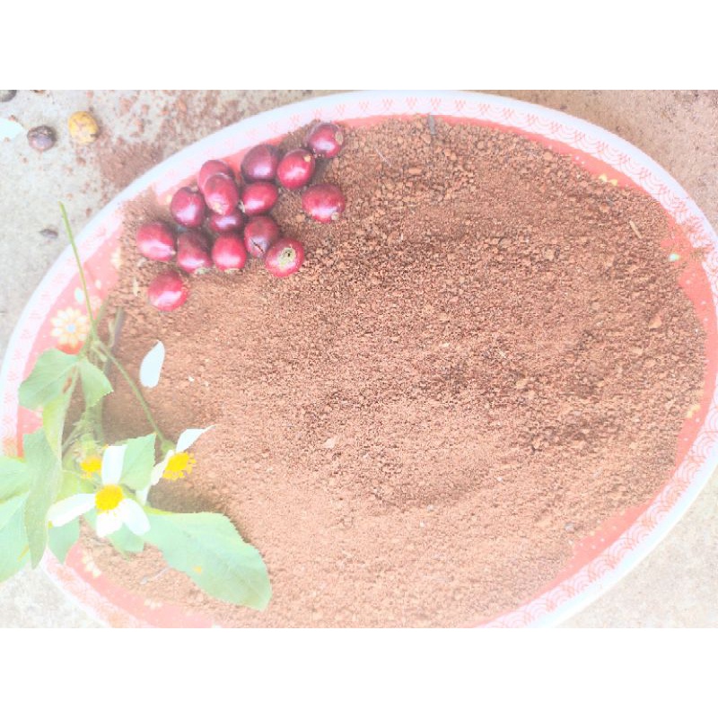 Combo 3kg Đất Thịt Bazan Lâm Đồng Đất trồng cây  Phì Nhiêu Màu Mỡ