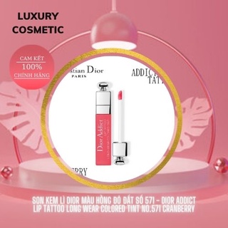 Son kem lì Dior màu hồng đỏ đất số 571 - Dior Addict Lip Tattoo Long Wear Colored Tint No.571 Cranberry
