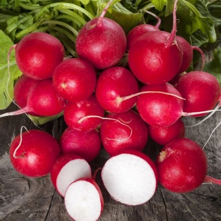 [ HG Mai nguyễn] 500 hạt giống củ cải Cherry đỏ_ Thu hoạch sau 20 ngày