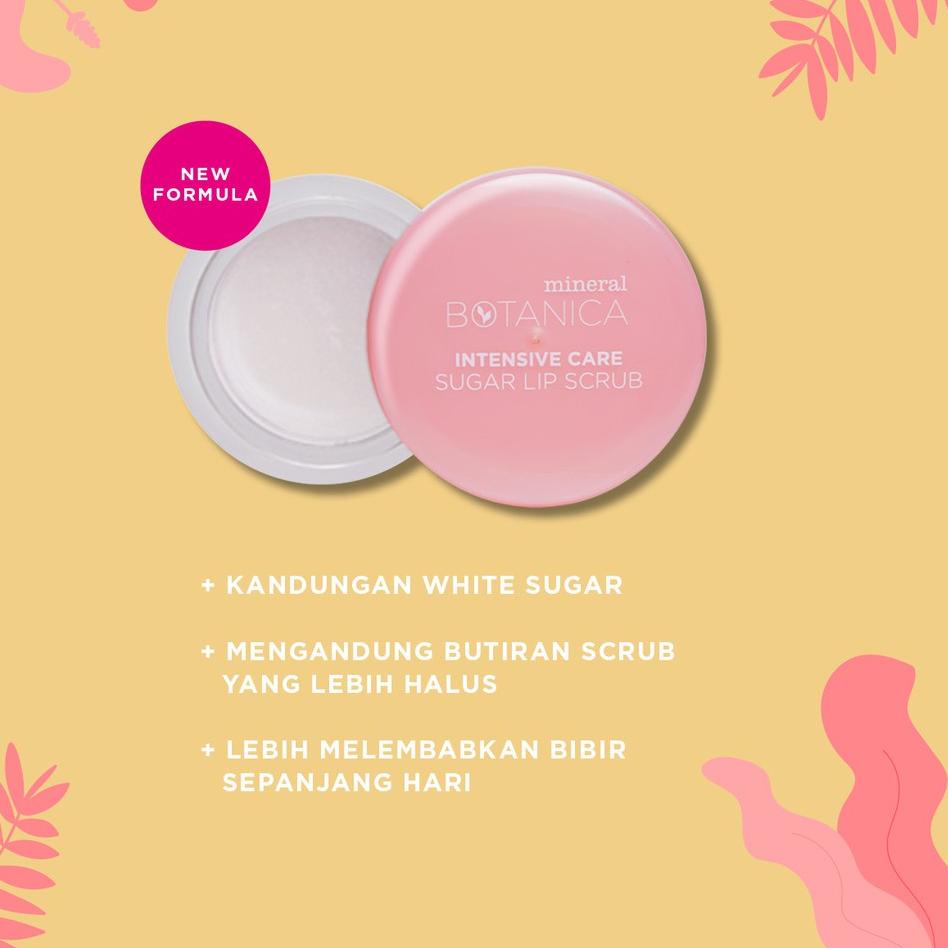 (Hàng Mới Về) Son Dưỡng Môi Chiết Xuất Thực Vật Thương Hiệu Star Brands