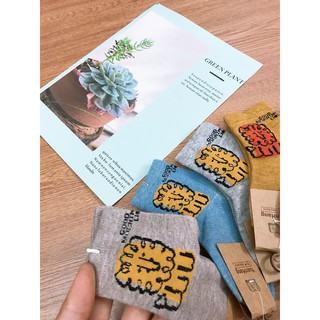 Combo 10 đôi tất sư tử bé