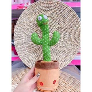 Cây xương rồng nhảy múa