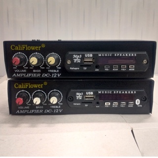 Ampli mini CaliFlower DC 12V, USB, có bluetooth