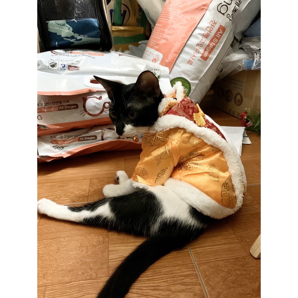 Áo cosplay Hoàng Thượng siêu cute cho boss