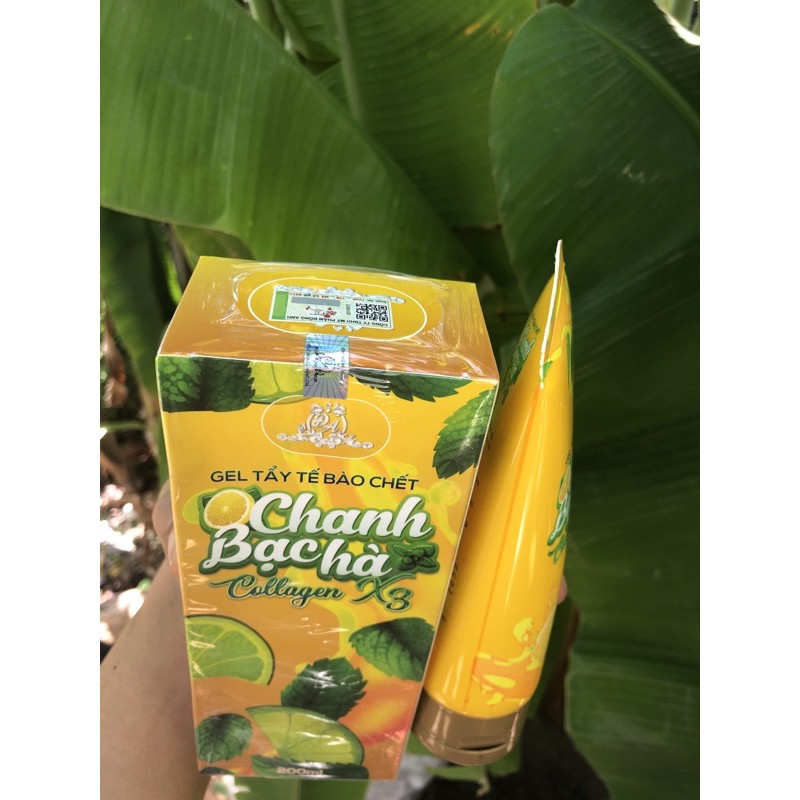 Tẩy tế bào chết chanh bạc hà collagen x3 cho Face và Body , Chính Hãng | BigBuy360 - bigbuy360.vn