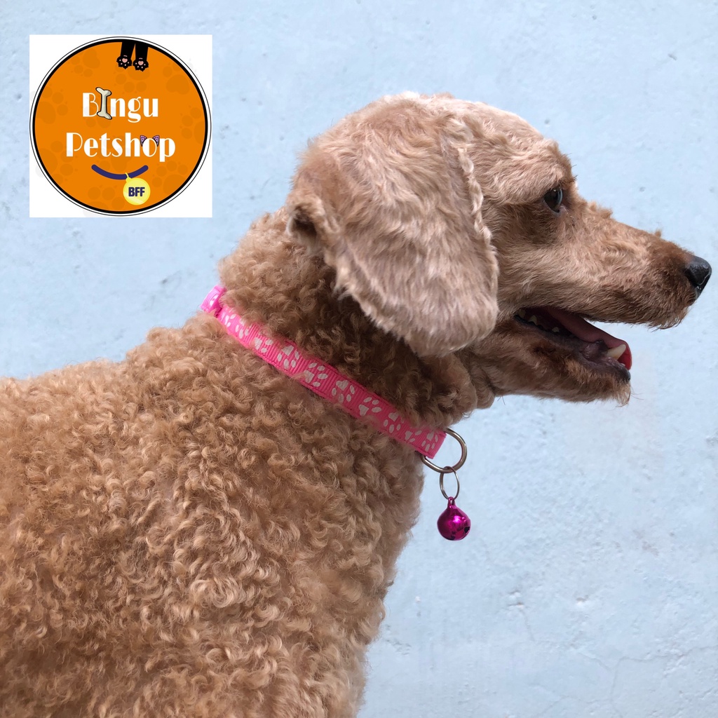 VÒNG CỔ LỤC LẠC IN HÌNH THÚ CƯNG CHO CHÓ MÈO - DƯỚI 5 KG - 6 MÀU