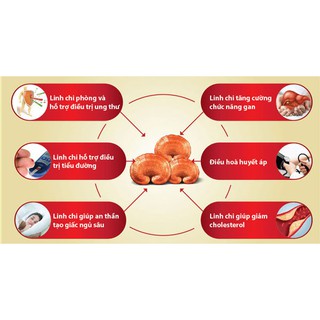 Nấm linh chi thái lát Hàn Quốc 500g