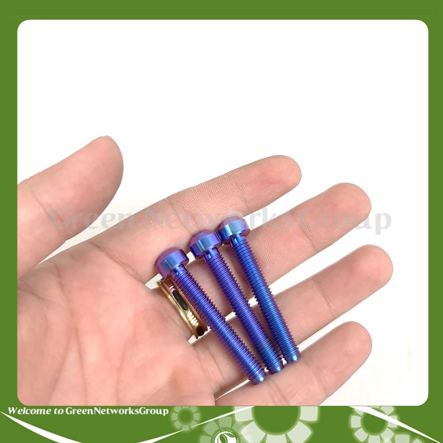 Ốc GR5 6 ly 40 Màu Xanh tím đầu dù bắt gù xe, lốc máy, cùm và nhiều vị trí thông dụng khác Greennetworks ( 1 Con )